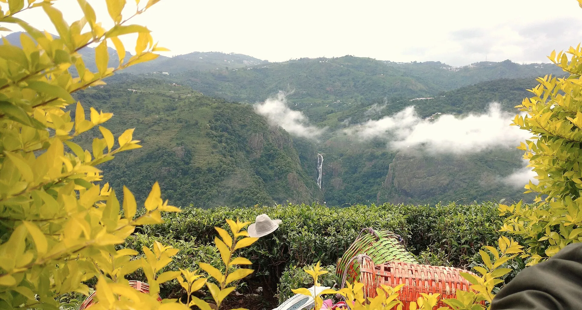 Catherine Falls