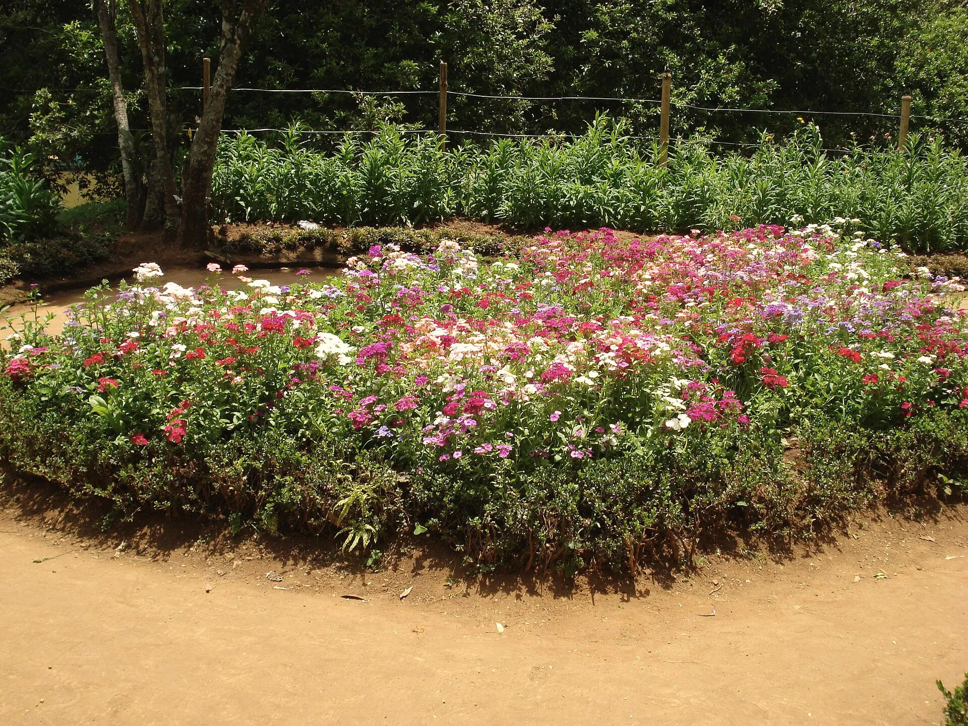 Sim’s Park