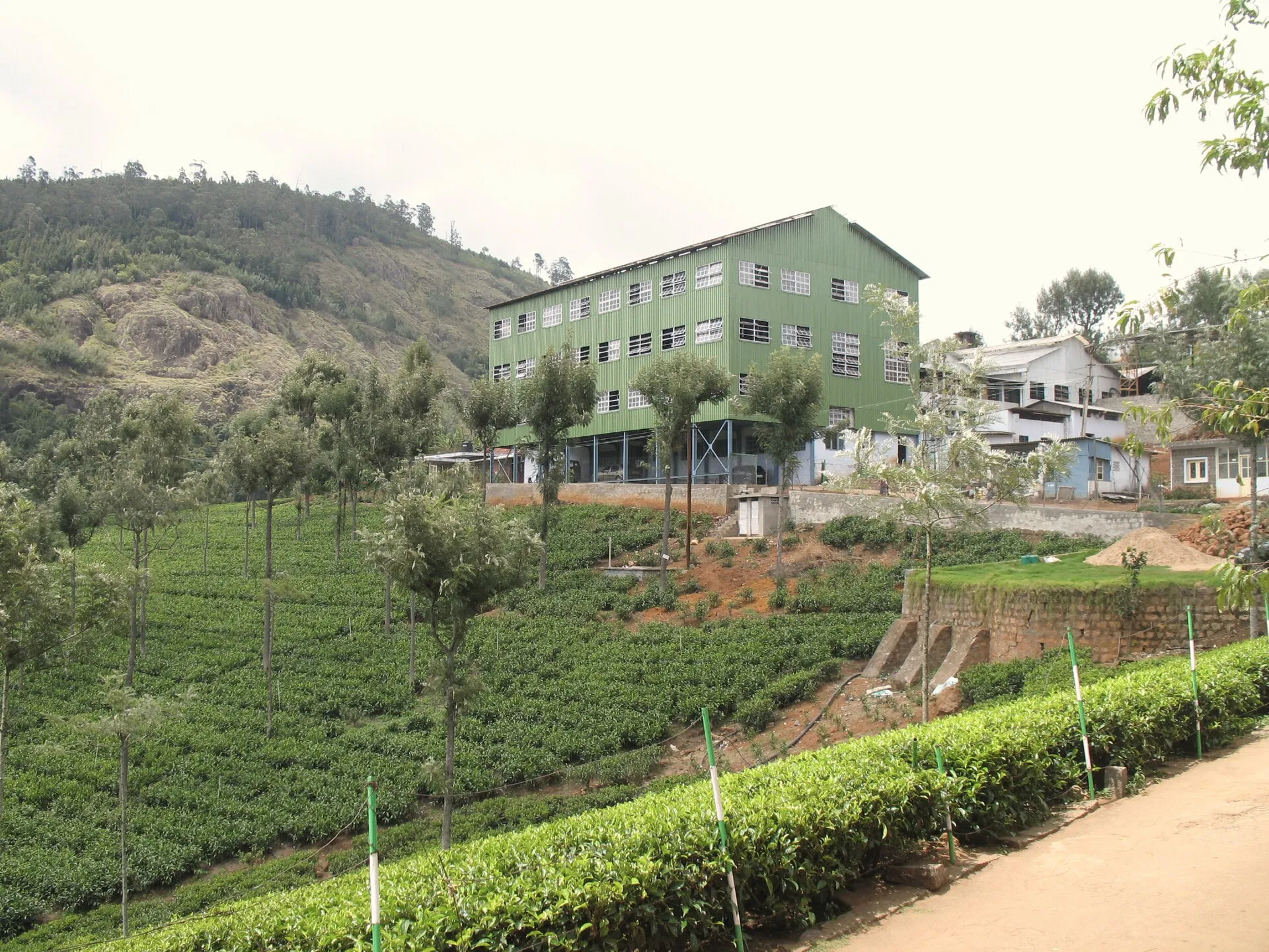 Highfield Tea Factory